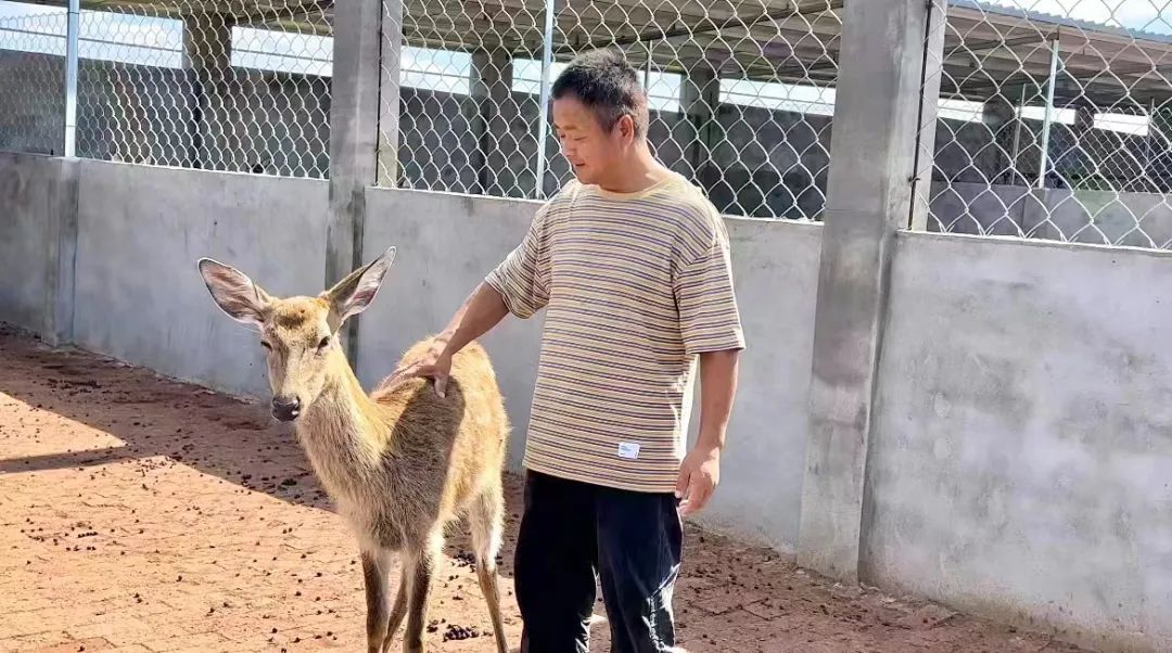 大圣闹海捕鱼游戏网络版